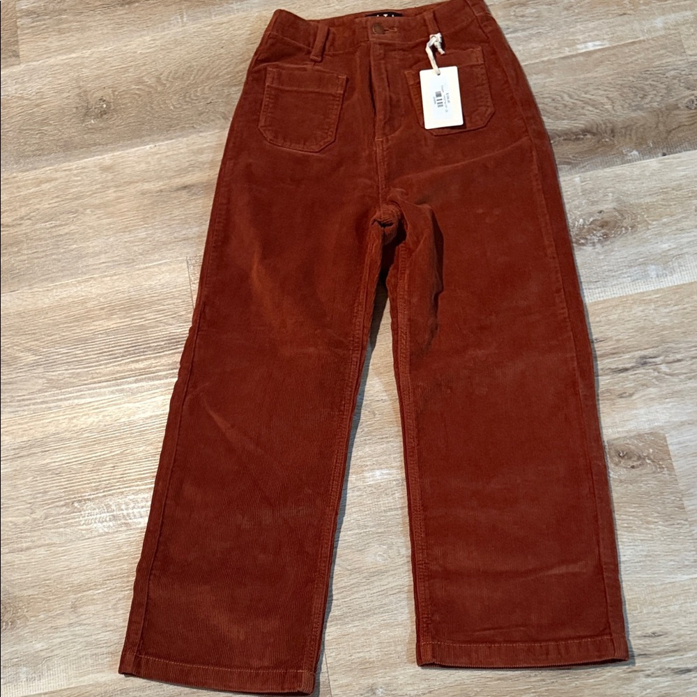 L. T. J. Copper corduroy Pants in Rust size 25 NWT